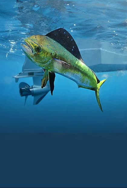 Pesca